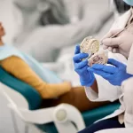 A dentist demonstrates dental implants using a model while a patient sits in the background. The model shows the structure and positioning of dental implant within the mouth.