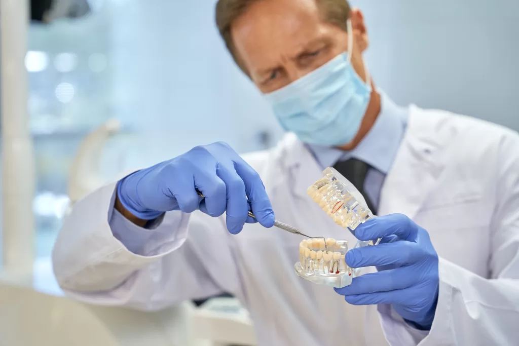 Dentist explaining dental bone grafting using a model.