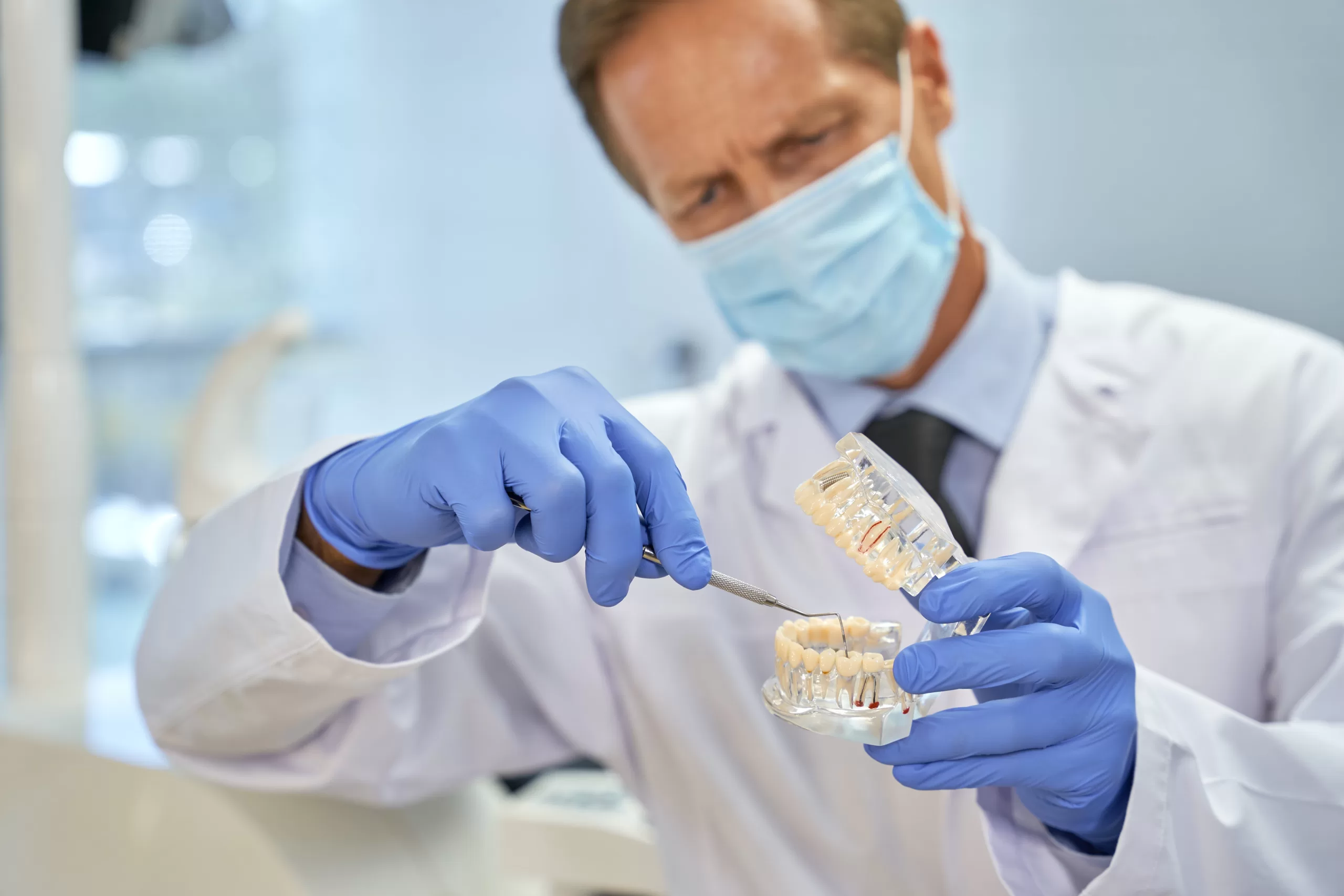 Dentist explaining dental bone grafting using a model.