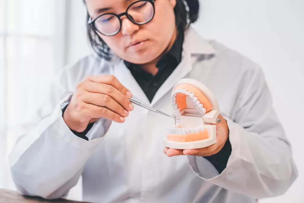 A dental professional in a white coat demonstrates oral care techniques using a dental model, holding it with one hand while pointing with a dental instrument.