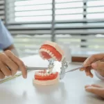 Dentist showing wisdom tooth model to assistant at Ridge Oral Surgery in New Jersey.