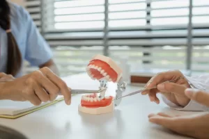 Dentist showing wisdom tooth model to assistant at Ridge Oral Surgery in New Jersey.