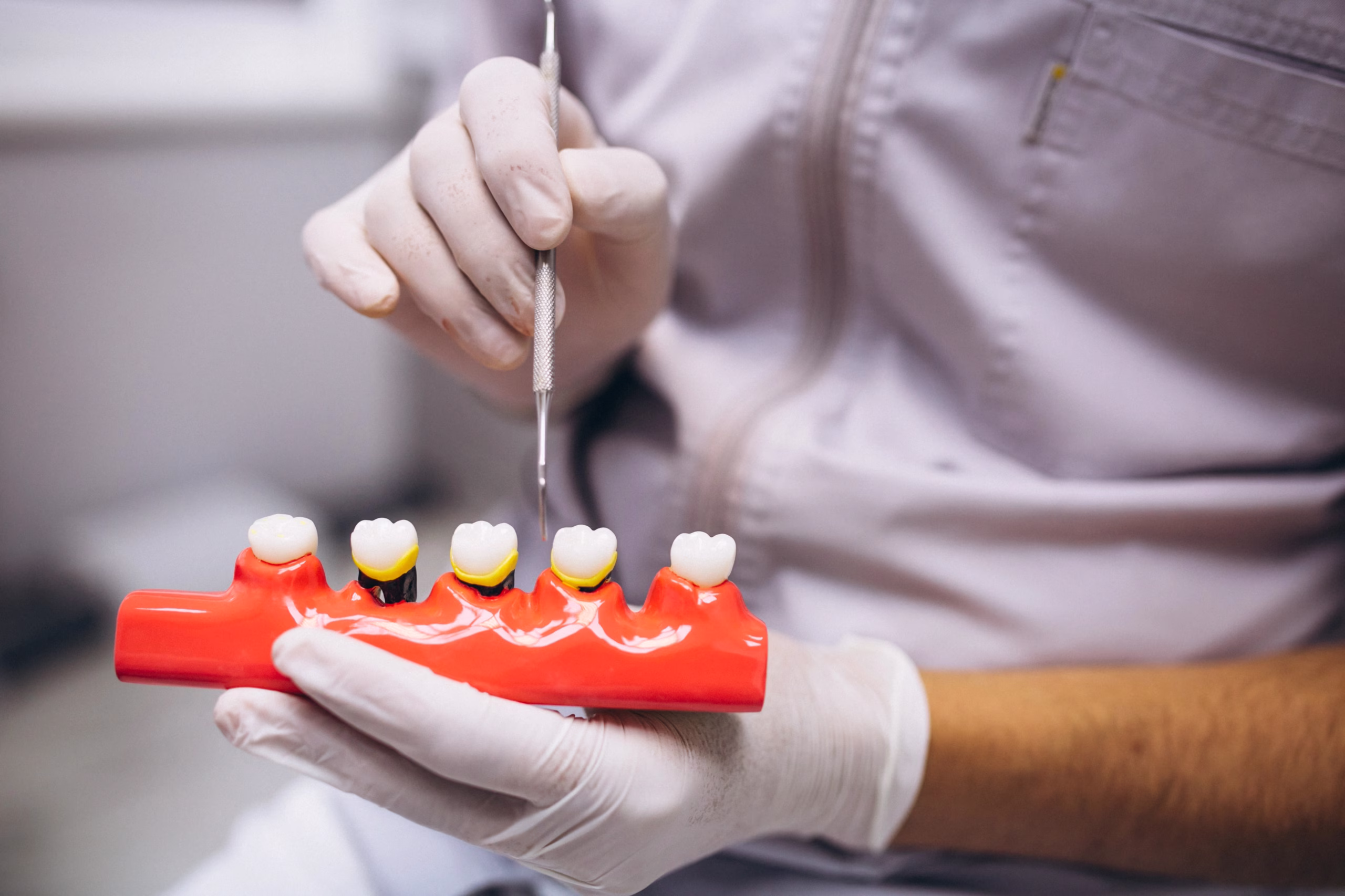 Dentist using a dental implant model to explain zirconia and titanium implant options for replacing missing teeth.